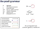 Graphical language for artificial cells