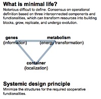 What is minimal life? Image