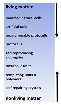 protocells_fig2